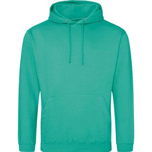 College Hoodie, miniatyr 46